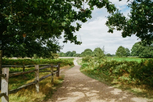 Experts Warn Nature Loss Could Cut UK GDP by Nearly 5%